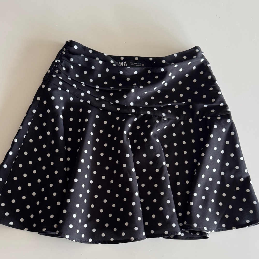 Zara Polka Dot Skirt